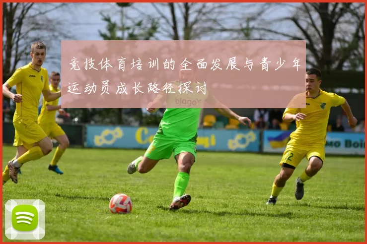竞技体育培训的全面发展与青少年运动员成长路径探讨