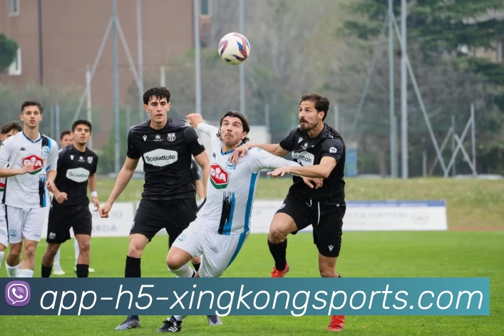 星空体育平台生态图