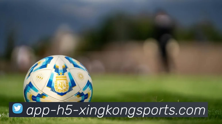 App Interface Preview