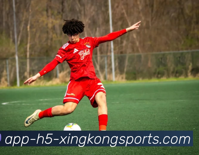 星空体育全站App